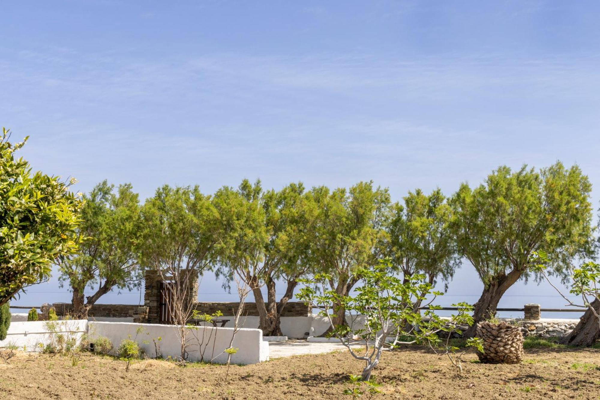 Unforgettable Tinos Beach Houses Complex Agios Ioannis  Oda fotoğraf